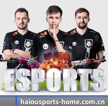 AI 革新(HOSPORTS)